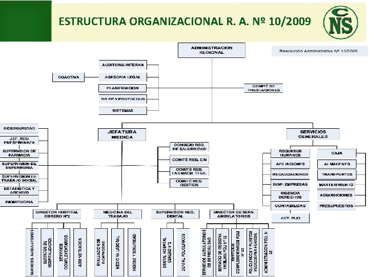 ESTRUCTURA ORGANIZACIONAL R. A. Nº 10/2009 