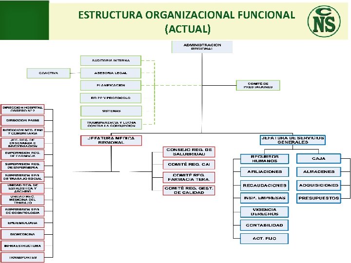 ESTRUCTURA ORGANIZACIONAL FUNCIONAL (ACTUAL) 