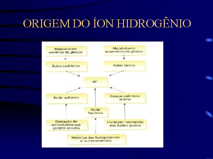 ORIGEM DO ÍON HIDROGÊNIO 