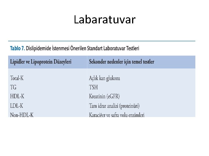 Labaratuvar 