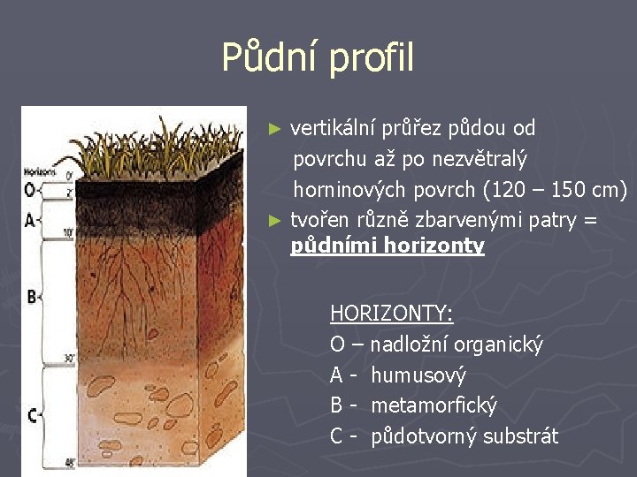 Půdní profil vertikální průřez půdou od povrchu až po nezvětralý horninových povrch (120 –