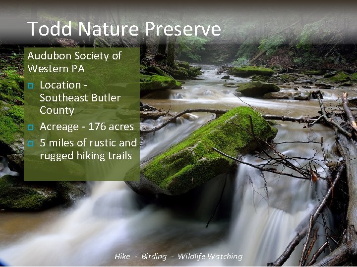 Todd Nature Preserve Audubon Society of Western PA Location - Southeast Butler County Acreage