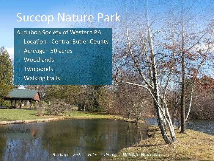 Succop Nature Park Audubon Society of Western PA Location - Central Butler County Acreage Succop Nature Park Audubon Society of Western PA Location - Central Butler County Acreage