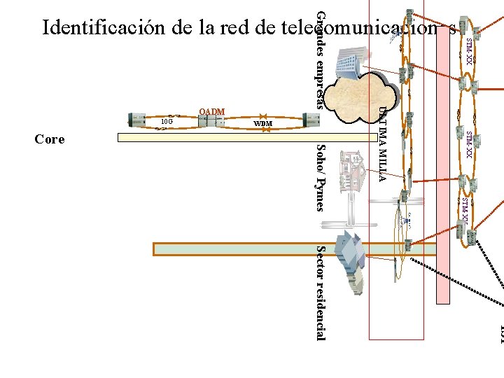 STM-XX ULTIMA MILLA OADM STM-XX Soho/ Pymes Core WDM 10 G Grandes empresas Identificación