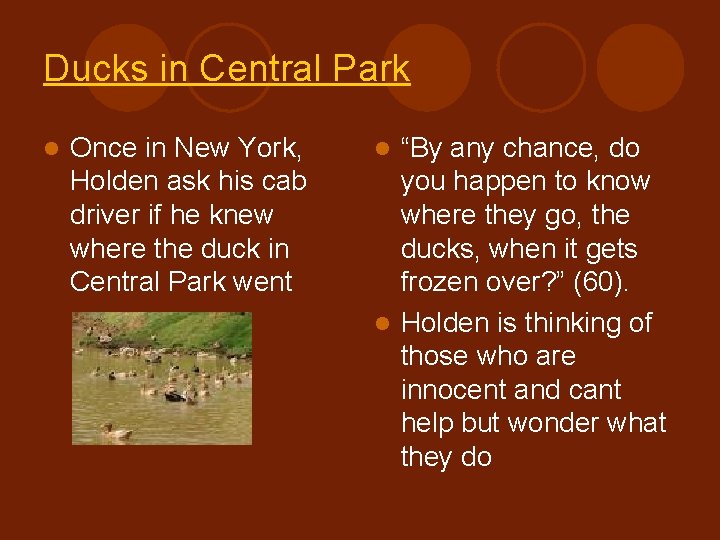 Ducks in Central Park l Once in New York, Holden ask his cab driver