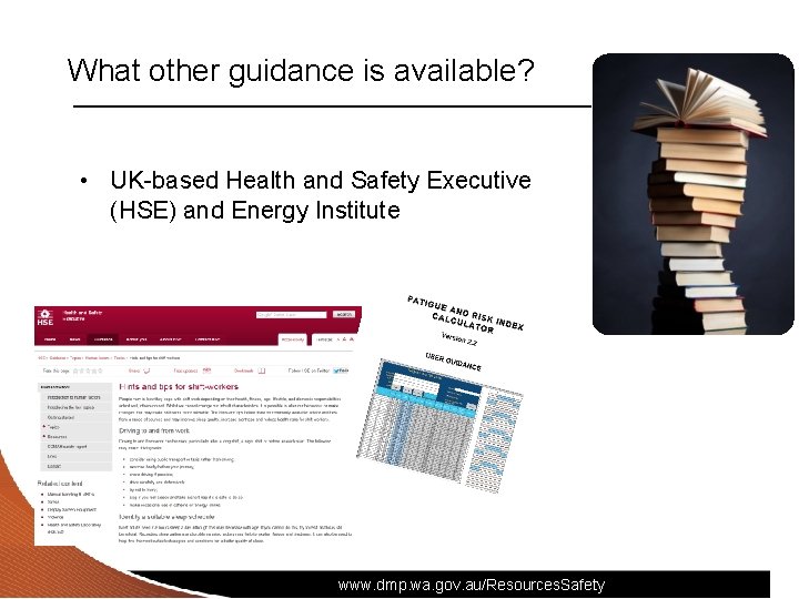 What other guidance is available? • UK-based Health and Safety Executive (HSE) and Energy