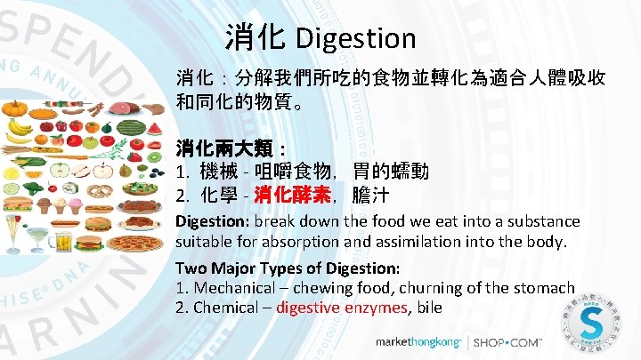 消化 Digestion 消化：分解我們所吃的食物並轉化為適合人體吸收 和同化的物質。 消化兩大類： 1. 機械 - 咀嚼食物，胃的蠕動 2. 化學 - 消化酵素，膽汁 Digestion: