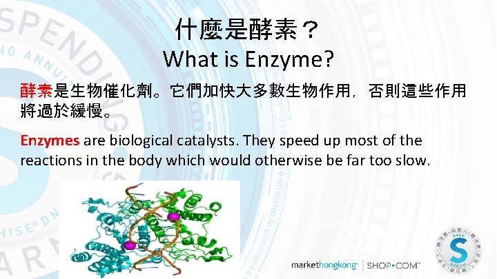 什麼是酵素？ What is Enzyme? 酵素是生物催化劑。它們加快大多數生物作用，否則這些作用 將過於緩慢。 Enzymes are biological catalysts. They speed up most