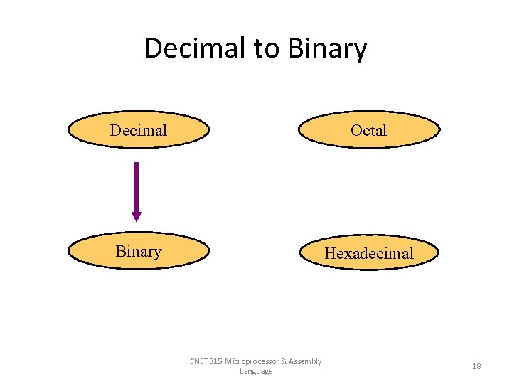 Decimal to Binary Decimal Octal Binary Hexadecimal CNET 315 Microprocessor & Assembly Language 18