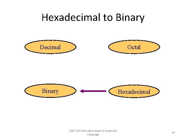 Hexadecimal to Binary Decimal Octal Binary Hexadecimal CNET 315 Microprocessor & Assembly Language 24