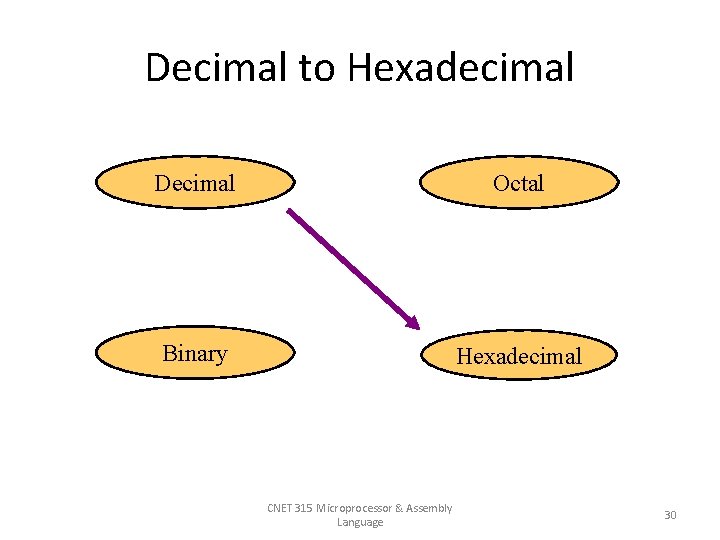 Decimal to Hexadecimal Decimal Octal Binary Hexadecimal CNET 315 Microprocessor & Assembly Language 30