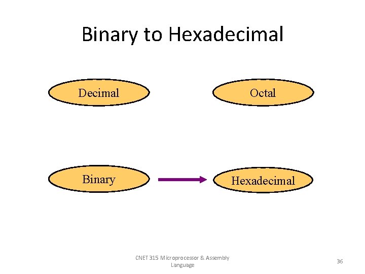 Binary to Hexadecimal Decimal Octal Binary Hexadecimal CNET 315 Microprocessor & Assembly Language 36