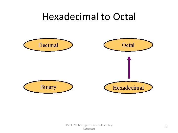 Hexadecimal to Octal Decimal Octal Binary Hexadecimal CNET 315 Microprocessor & Assembly Language 42