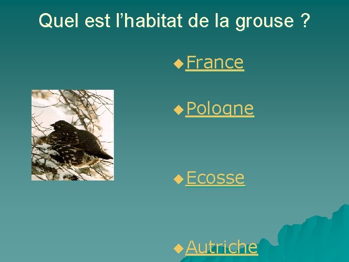 Quel est l’habitat de la grouse ? u France u Pologne u Ecosse u