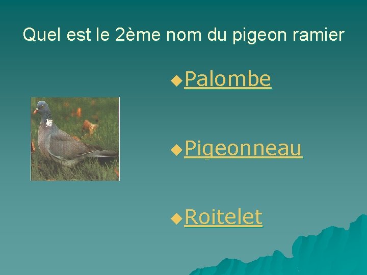 Quel est le 2ème nom du pigeon ramier u. Palombe u. Pigeonneau u. Roitelet