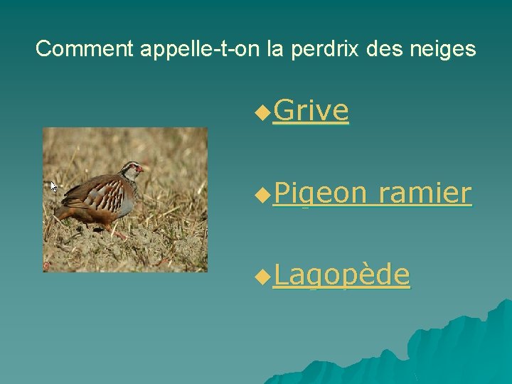 Comment appelle-t-on la perdrix des neiges u. Grive u. Pigeon ramier u. Lagopède 