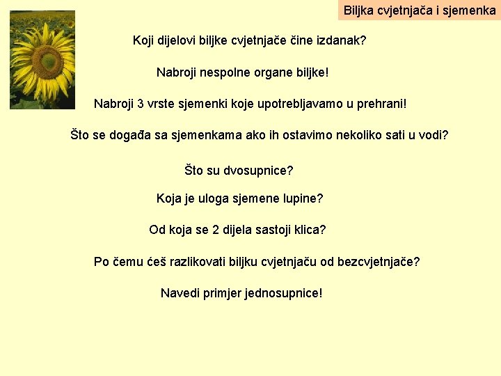 Biljka cvjetnjača i sjemenka Koji dijelovi biljke cvjetnjače čine izdanak? Nabroji nespolne organe biljke!