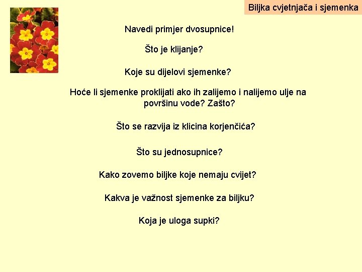 Biljka cvjetnjača i sjemenka Navedi primjer dvosupnice! Što je klijanje? Koje su dijelovi sjemenke?