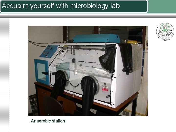 Acquaint yourself with microbiology lab Anaerobic station 