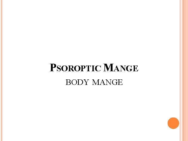 PSOROPTIC MANGE BODY MANGE 