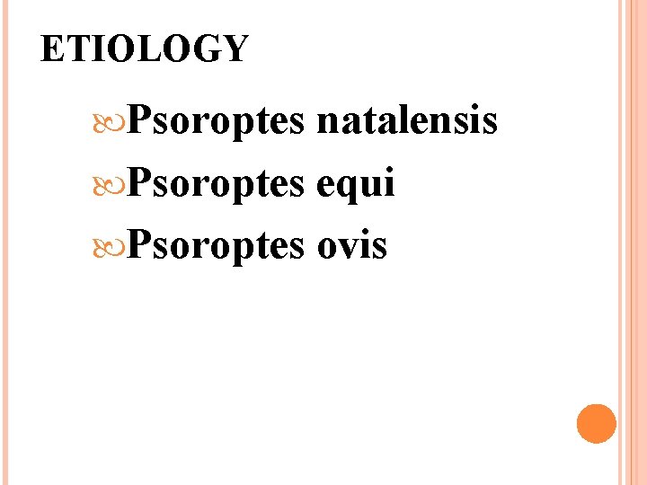 ETIOLOGY Psoroptes natalensis Psoroptes equi Psoroptes ovis 