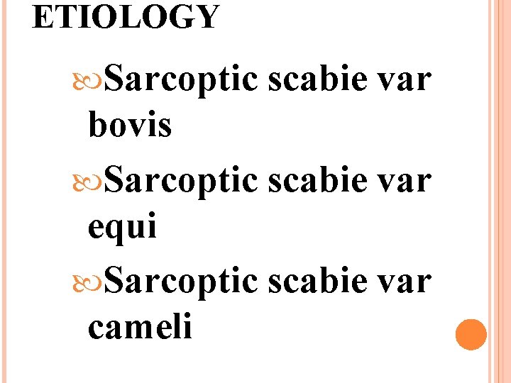 ETIOLOGY Sarcoptic scabie var bovis Sarcoptic scabie var equi Sarcoptic scabie var cameli 