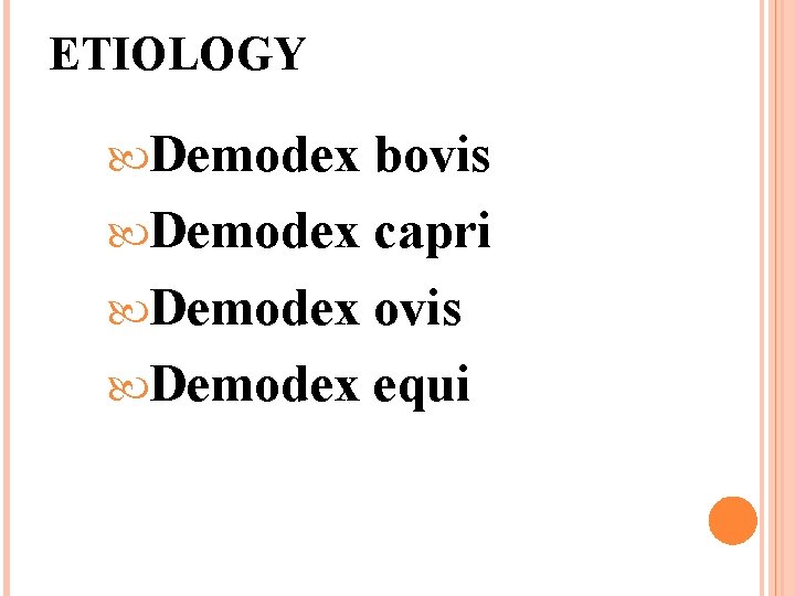 ETIOLOGY Demodex bovis Demodex capri Demodex ovis Demodex equi 