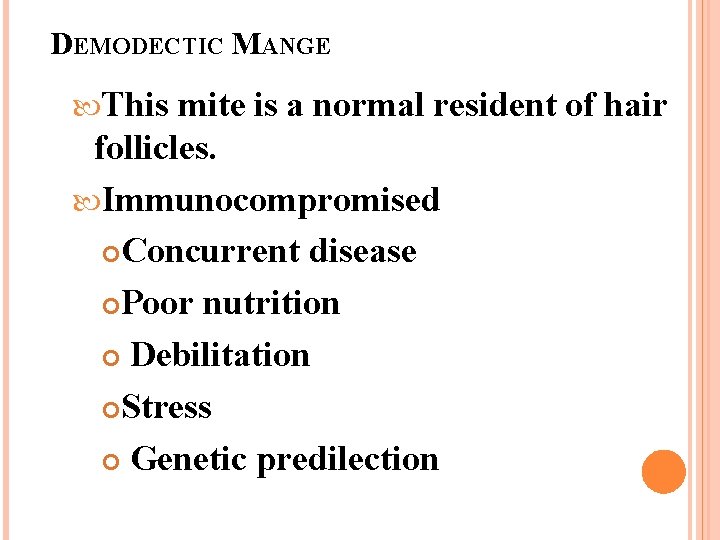 DEMODECTIC MANGE This mite is a normal resident of hair follicles. Immunocompromised Concurrent disease