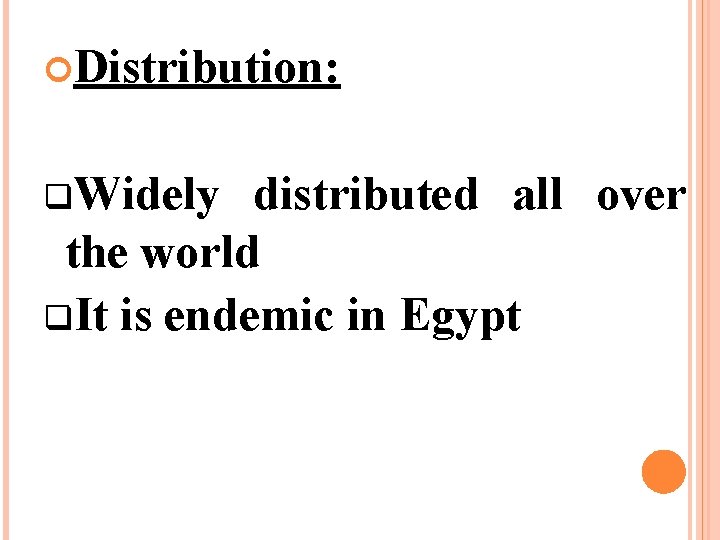  Distribution: q. Widely distributed all over the world q. It is endemic in