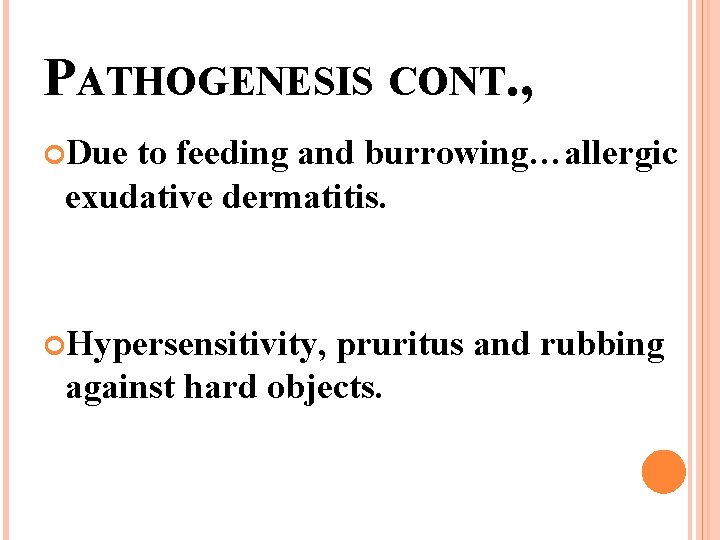 PATHOGENESIS CONT. , Due to feeding and burrowing…allergic exudative dermatitis. Hypersensitivity, pruritus and rubbing