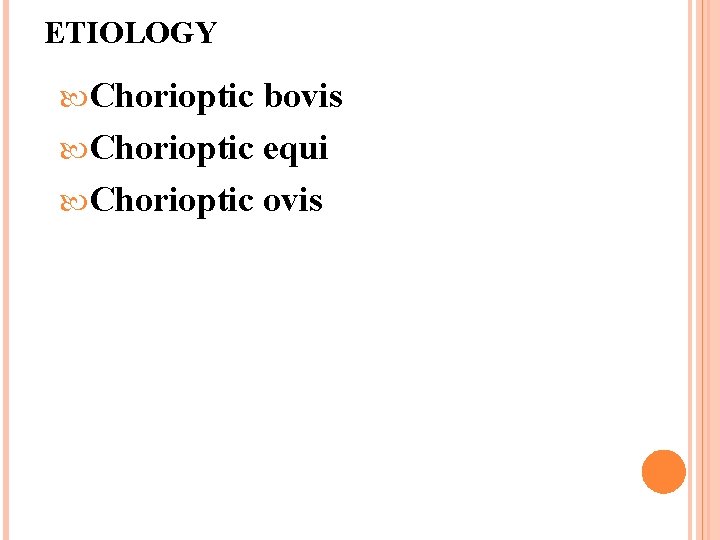 ETIOLOGY Chorioptic bovis Chorioptic equi Chorioptic ovis 