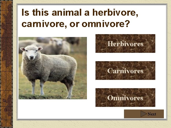 Is this animal a herbivore, carnivore, or omnivore? Herbivores Carnivores Omnivores Next 