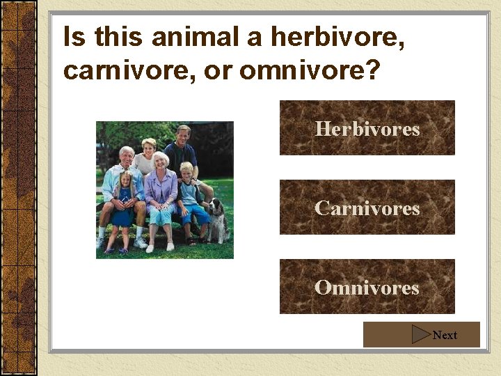 Is this animal a herbivore, carnivore, or omnivore? Herbivores Carnivores Omnivores Next 
