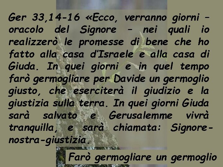 Ger 33, 14 -16 «Ecco, verranno giorni – oracolo del Signore – nei quali