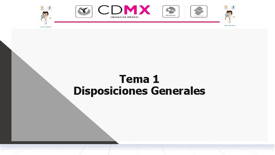 Tema 1 Disposiciones Generales 