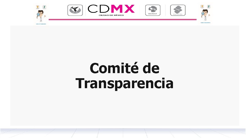 Comité de Transparencia 