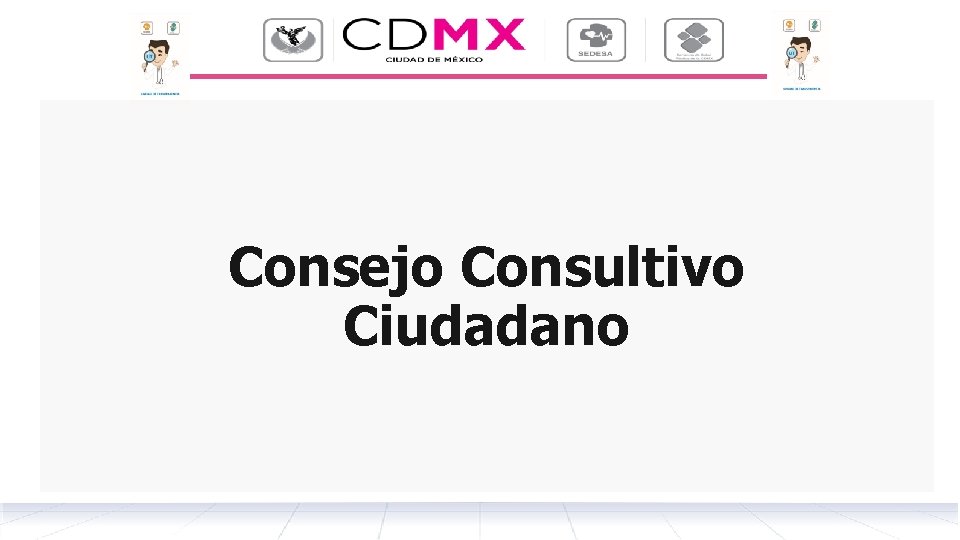 Consejo Consultivo Ciudadano 