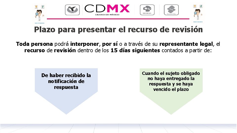 Plazo para presentar el recurso de revisión Toda persona podrá interponer, por sí o