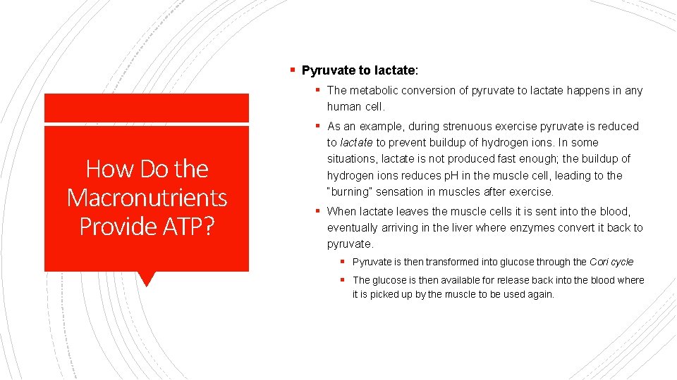 § Pyruvate to lactate: § The metabolic conversion of pyruvate to lactate happens in