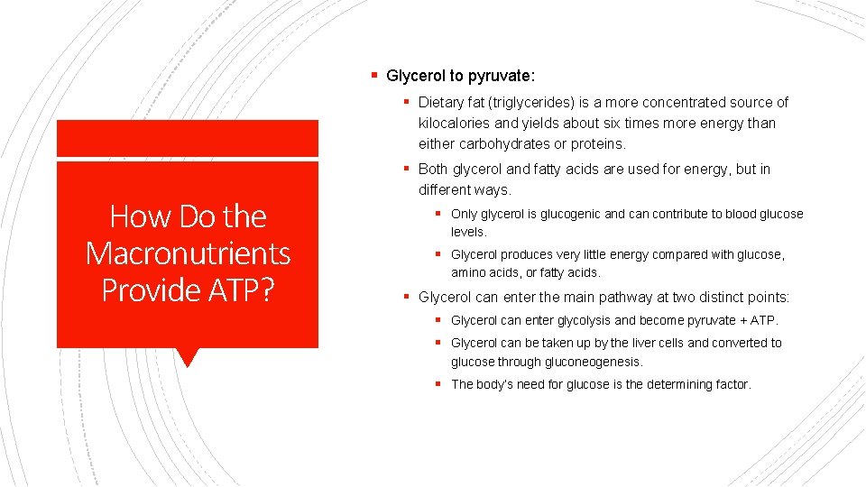 § Glycerol to pyruvate: § Dietary fat (triglycerides) is a more concentrated source of