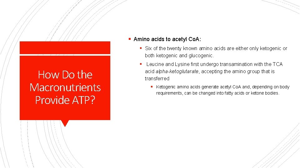 § Amino acids to acetyl Co. A: § Six of the twenty known amino