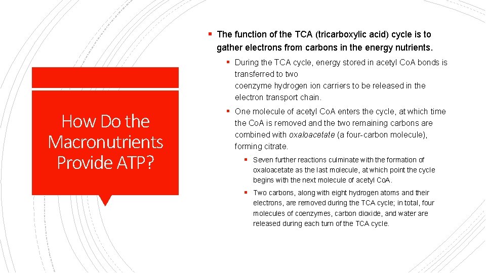 § The function of the TCA (tricarboxylic acid) cycle is to gather electrons from