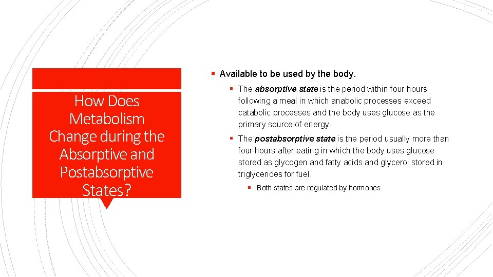 § Available to be used by the body. How Does Metabolism Change during the