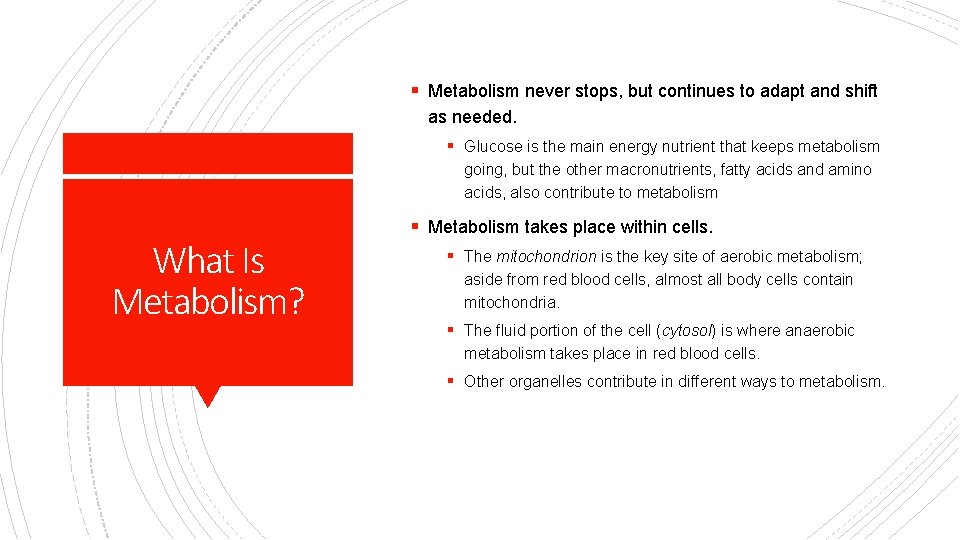 § Metabolism never stops, but continues to adapt and shift as needed. § Glucose