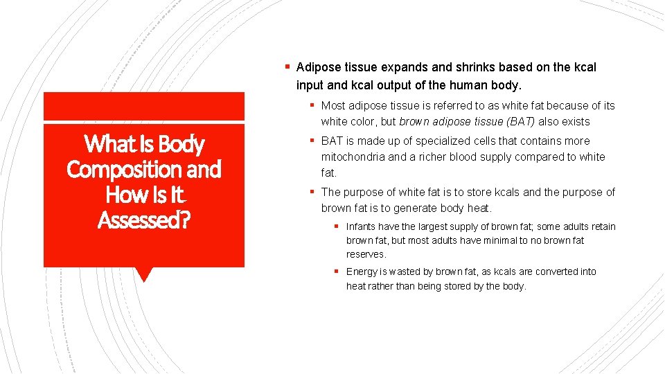 § Adipose tissue expands and shrinks based on the kcal input and kcal output