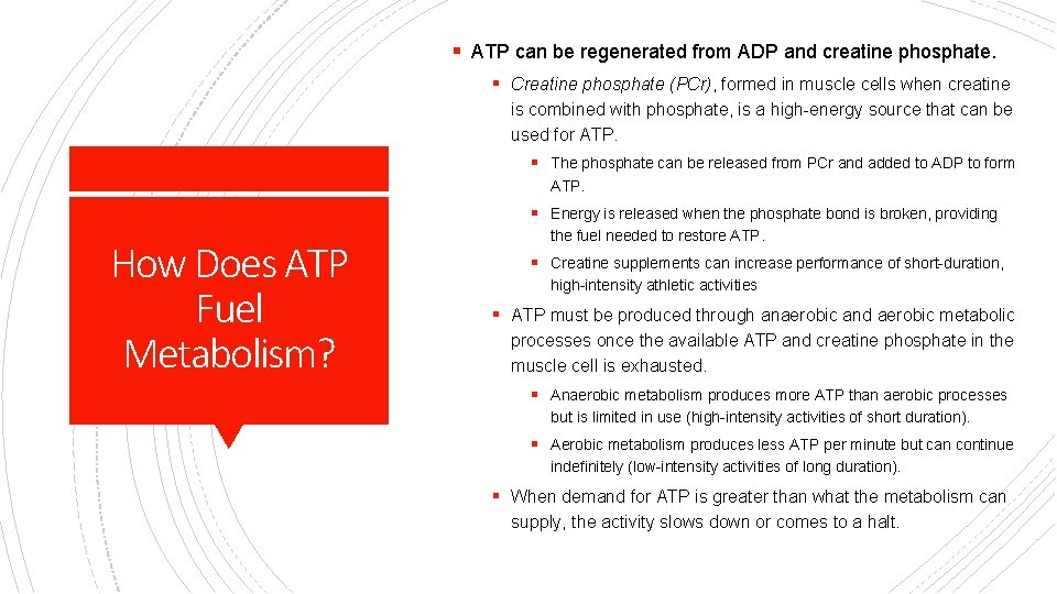 § ATP can be regenerated from ADP and creatine phosphate. § Creatine phosphate (PCr),