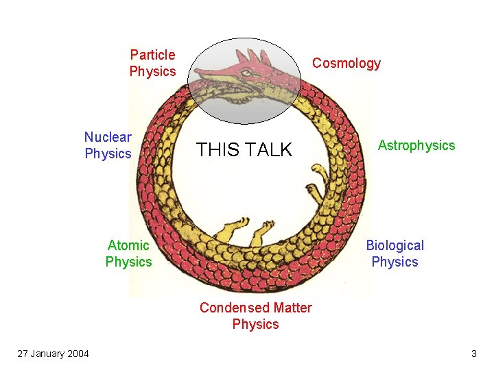 Particle Physics Nuclear Physics Cosmology THIS TALK Atomic Physics Astrophysics Biological Physics Condensed Matter