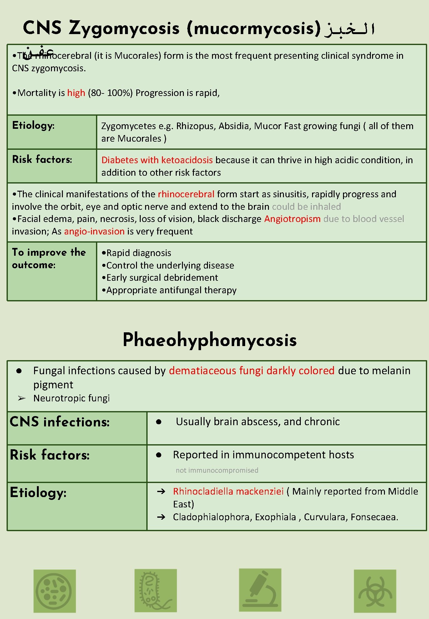 CNS Zygomycosis (mucormycosis) ﺍﻟﺨﺒﺰ ﻋﻔﻦ • The rhinocerebral (it is Mucorales) form is the