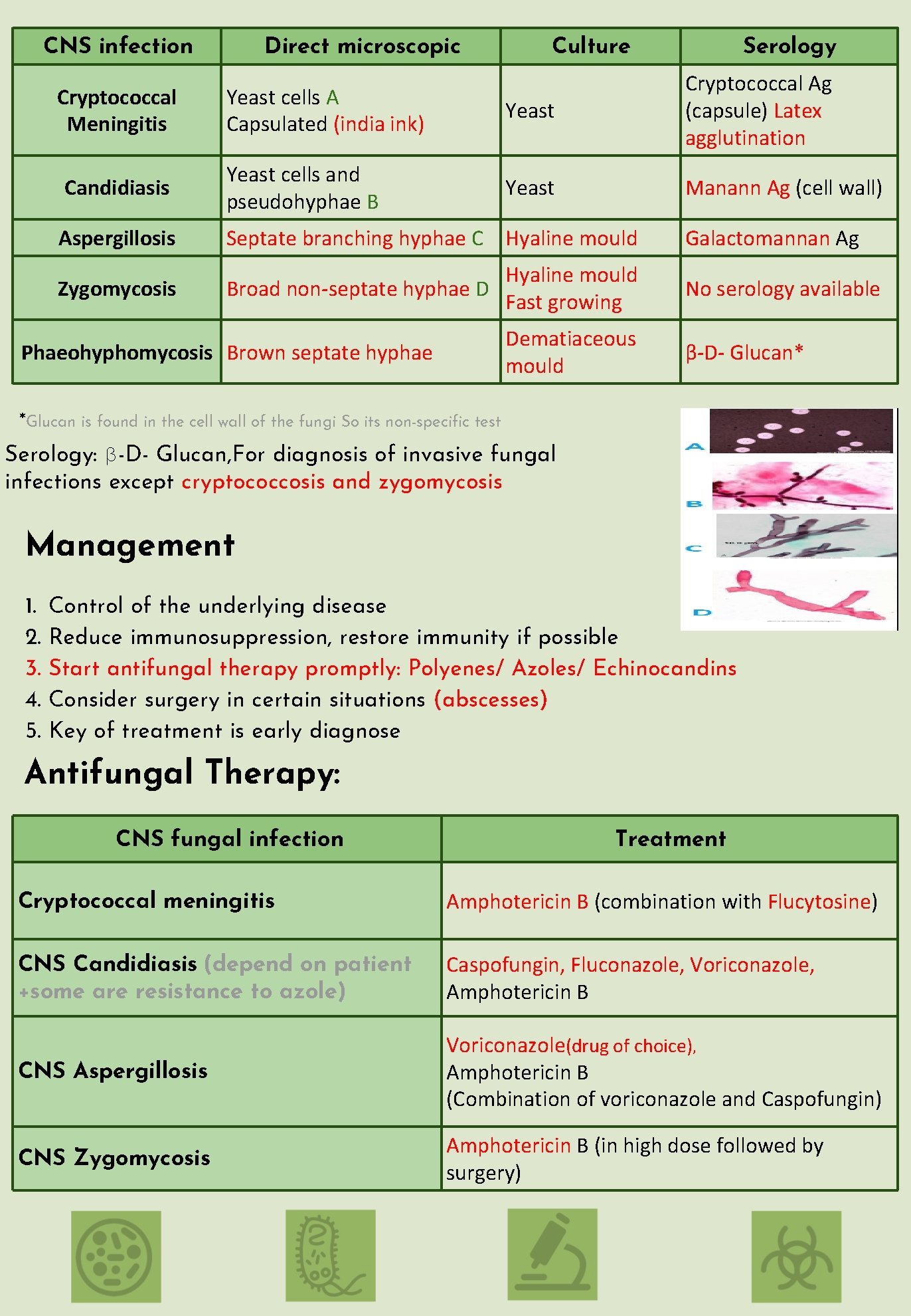 CNS infection Direct microscopic Culture Serology Yeast cells A Capsulated (india ink) Yeast Cryptococcal