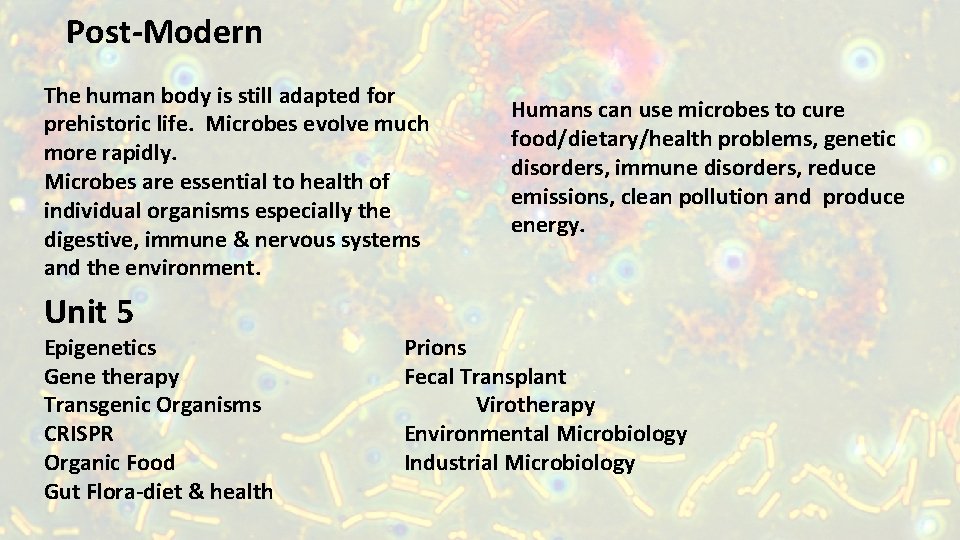 Post-Modern The human body is still adapted for prehistoric life. Microbes evolve much more